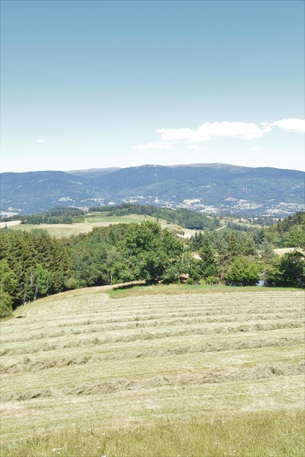 L'Embellie Bed and Breakfast Bertignat Buitenkant foto
