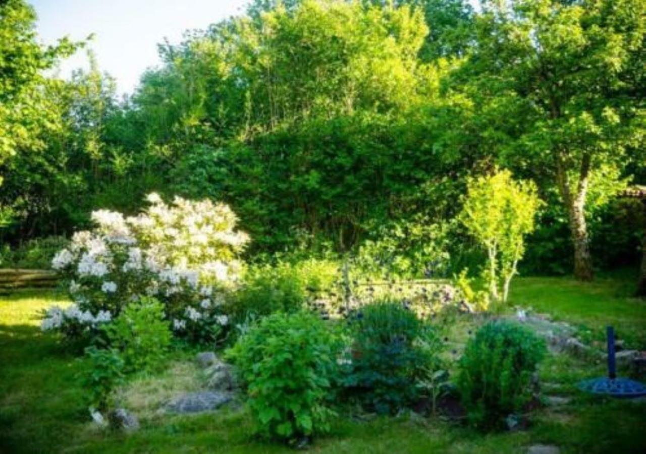 L'Embellie Bed and Breakfast Bertignat Buitenkant foto